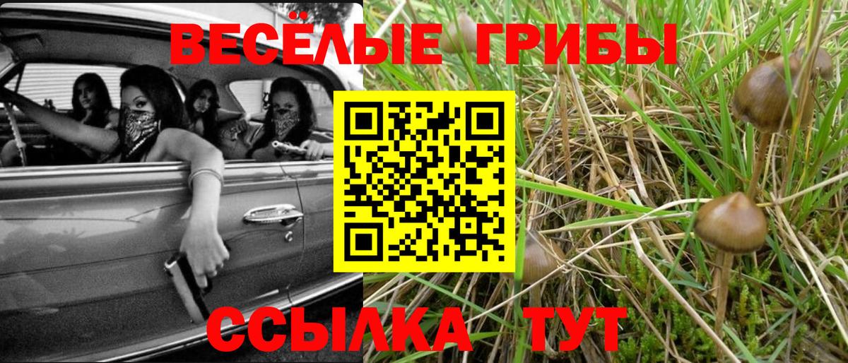 Псилоцибиновые грибы Psilocybe  Вход с VPN  Набережные Челны 